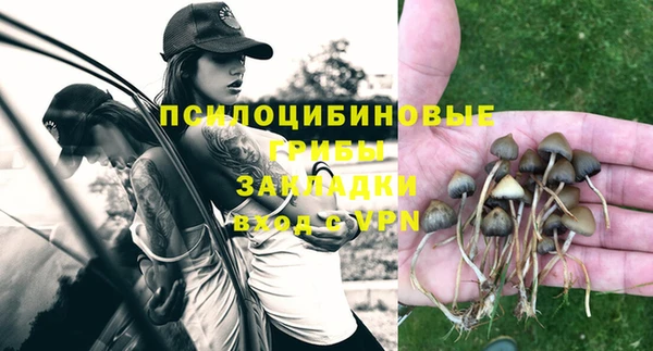 ECSTASY Заводоуковск