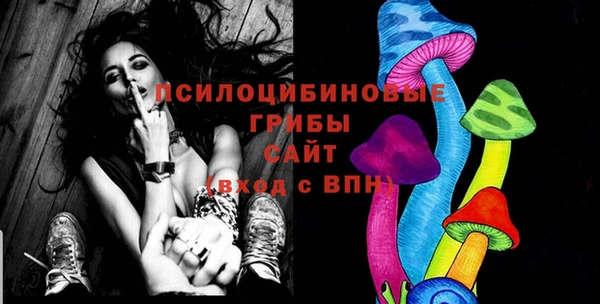 ECSTASY Заводоуковск