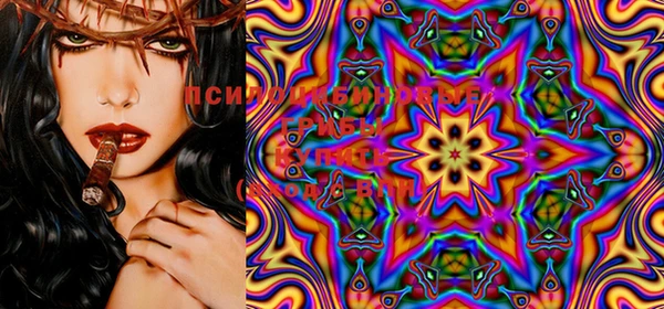 ECSTASY Заводоуковск