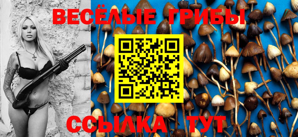 Псилоцибиновые грибы мухоморы  цена   Саяногорск  Вход с VPN 